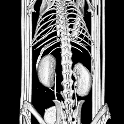 gastroenterology_slide_2.png